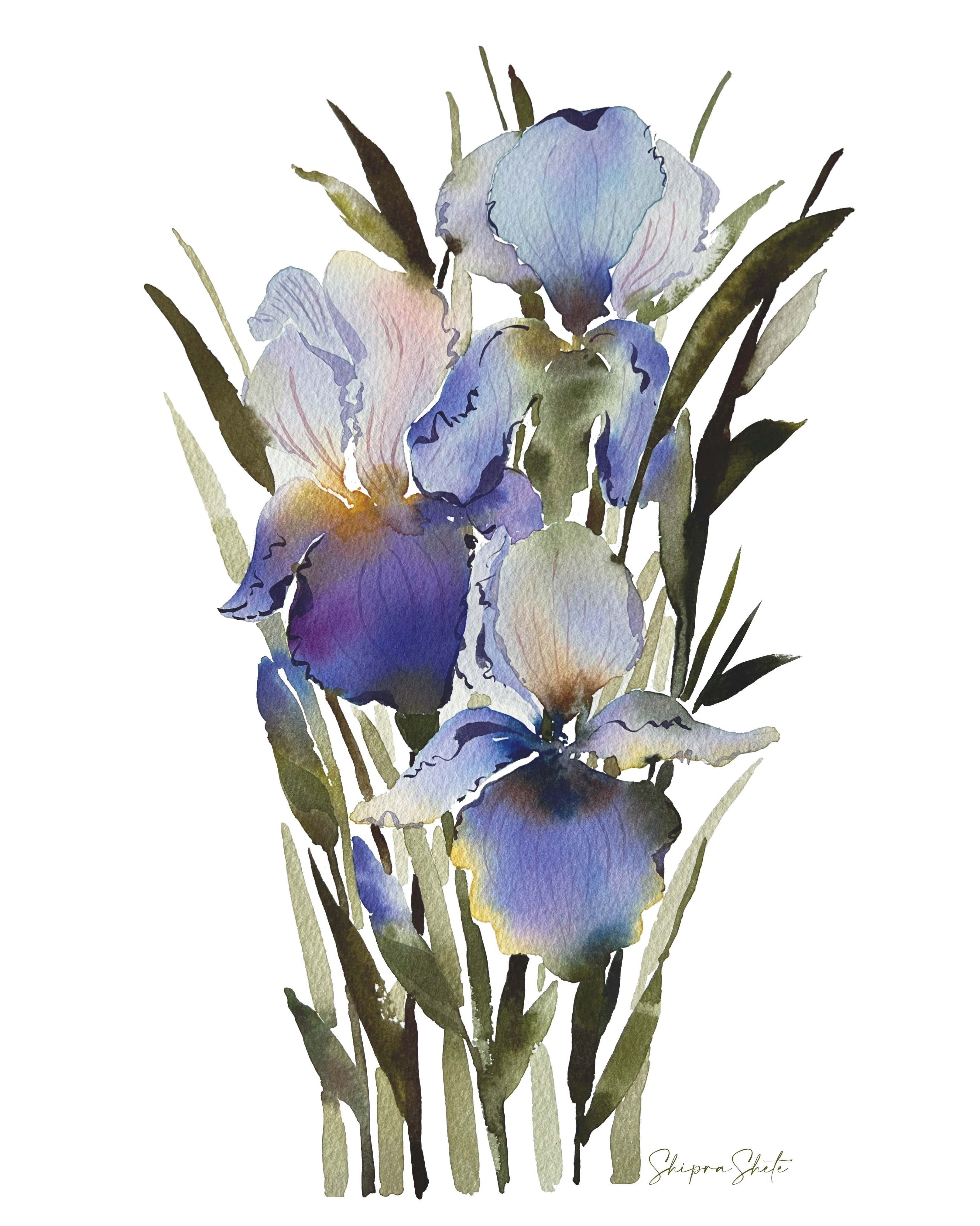 Watercolour Floral Art Print Purple Iris 2