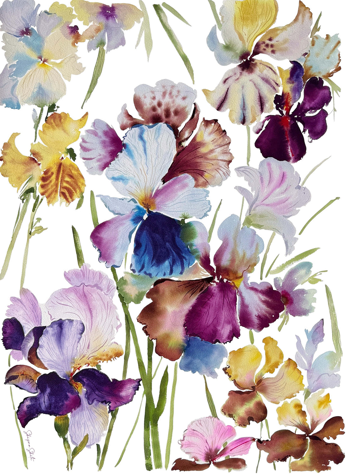 Watercolour Floral Art Print &