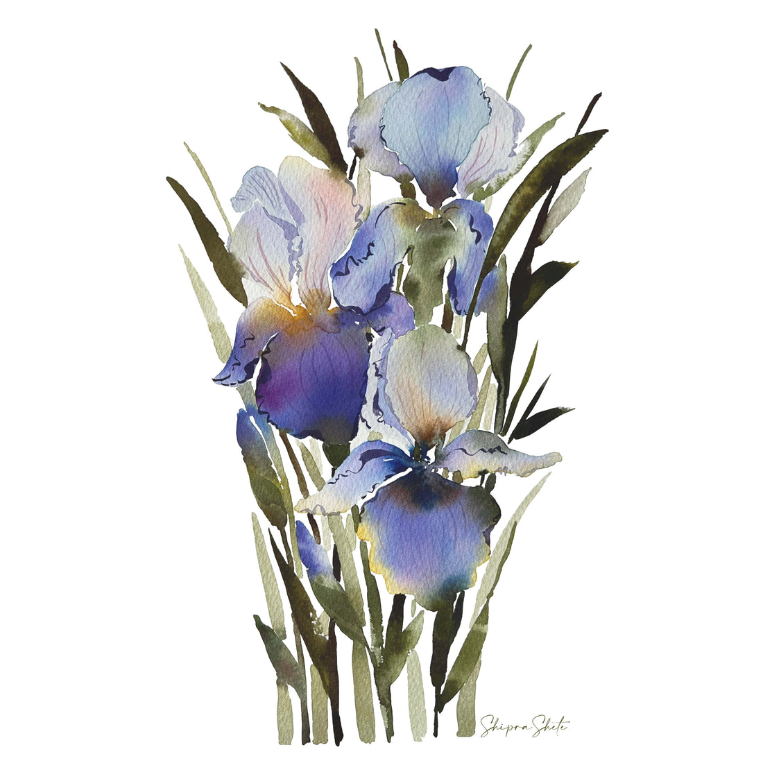 Watercolour Floral Art Print Purple Iris 2